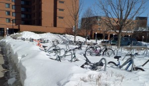 Bicycles at the University of Minnesota Mar 8, 2014