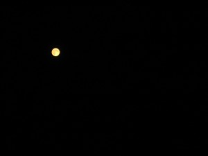 Full Moon, August 20, 2013, at Woodbury MN