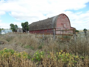 The long empty barn, rural North Dakota, September 20, 2013