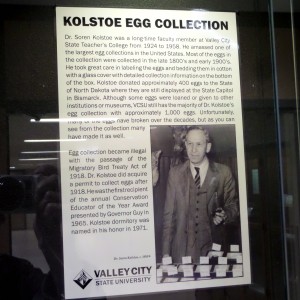 A portion of Psychology Professor Soren O. Kolstoe's legendary bird egg collections has a prominent place in the Science Building
