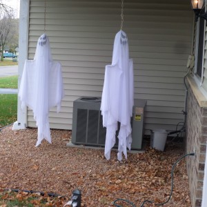 "Ghosts" flutter across the street in our neighborhood October 31, 2013