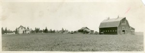 F. W. Busch farmstead, with brand new barn, 1916.  