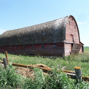 The old barn, July 23, 2014