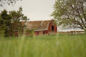The Busch barn, rural Berlin/Grand Rapids/LaMoure ND May, 2015, by Tom Maloney